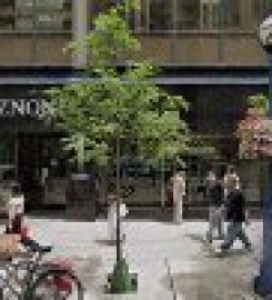 Endodontic Specialists – Bay Street