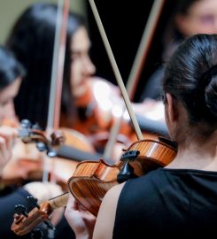 Sarv Music Academy