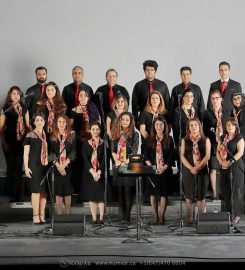 Arfa Music Academy